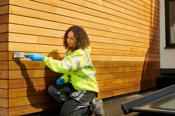 Best Aluminum Siding Installation  in Parkville, MO