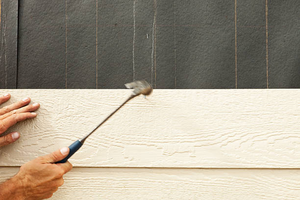 Best Custom Trim and Detailing for Siding  in Parkville, MO